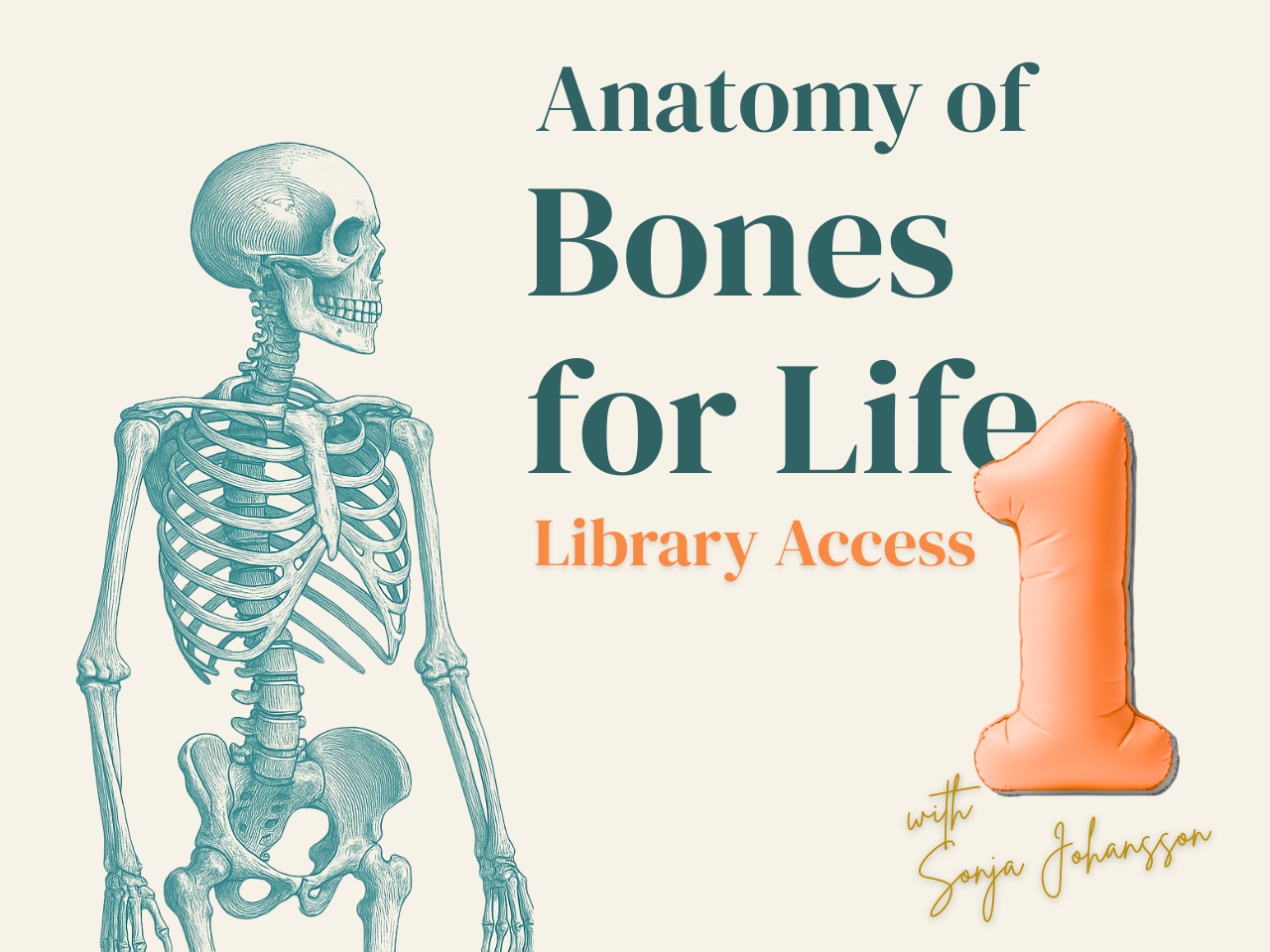 Anatomy of Bones for Life 1