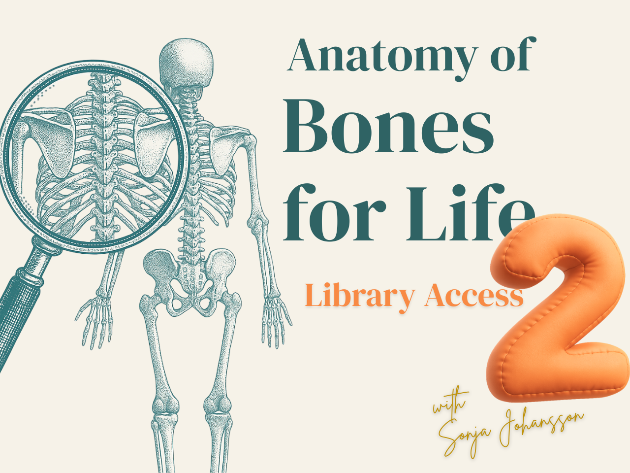 Anatomy of Bones for Life 2